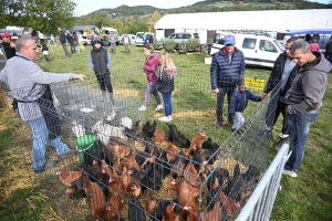 Saint-Julien-du-Pinet : le monde agricole célébré