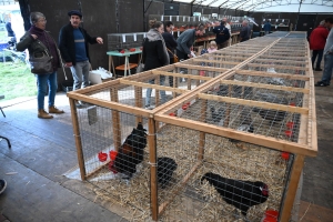 Saint-Julien-du-Pinet : le monde agricole célébré