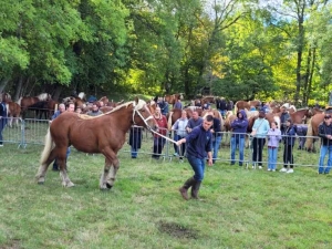 Saint-Julien-du-Pinet : le monde agricole célébré