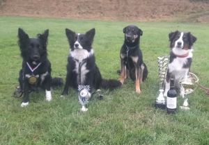 Les chiens dans leur grande diversité sont les bienvenus Crédit Rio&#039;Cabot