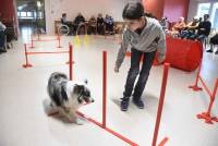 Sainte-Sigolène : ce qu&#039;apportent les animaux auprès des résidents de l&#039;Ehpad