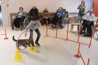 Sainte-Sigolène : ce qu&#039;apportent les animaux auprès des résidents de l&#039;Ehpad