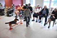 Sainte-Sigolène : ce qu&#039;apportent les animaux auprès des résidents de l&#039;Ehpad