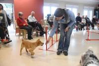 Sainte-Sigolène : ce qu&#039;apportent les animaux auprès des résidents de l&#039;Ehpad