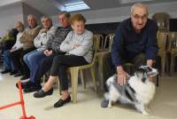 Sainte-Sigolène : ce qu&#039;apportent les animaux auprès des résidents de l&#039;Ehpad