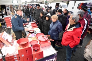 Le champignon est le roi des forêts et de Saint-Bonnet-le-Froid (vidéo)