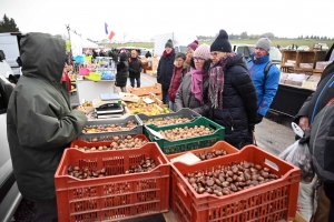 Le champignon est le roi des forêts et de Saint-Bonnet-le-Froid (vidéo)