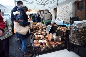 Le champignon est le roi des forêts et de Saint-Bonnet-le-Froid (vidéo)