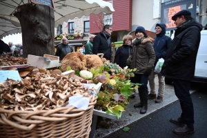 Le champignon est le roi des forêts et de Saint-Bonnet-le-Froid (vidéo)