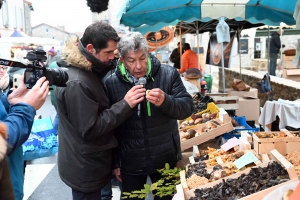 Le champignon est le roi des forêts et de Saint-Bonnet-le-Froid (vidéo)