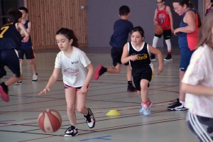 Retournac : de jeunes basketteurs de Haute-Loire en stage au gymnase