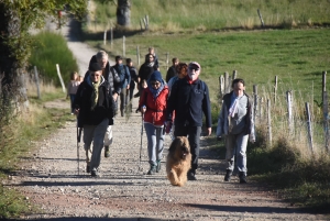 Saint-Julien-Molhesabate : une bergère, des brebis et des randonneurs en transhumance (vidéo)