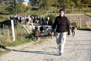 Saint-Julien-Molhesabate : une bergère, des brebis et des randonneurs en transhumance (vidéo)