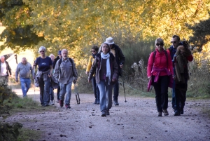 Saint-Julien-Molhesabate : une bergère, des brebis et des randonneurs en transhumance (vidéo)