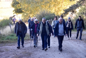 Saint-Julien-Molhesabate : une bergère, des brebis et des randonneurs en transhumance (vidéo)