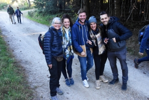 Saint-Julien-Molhesabate : une bergère, des brebis et des randonneurs en transhumance (vidéo)