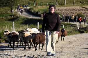 Saint-Julien-Molhesabate : une bergère, des brebis et des randonneurs en transhumance (vidéo)