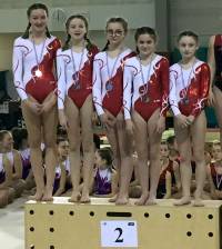 Gymnastique et aérobic : six podiums pour Yssingeaux par équipe