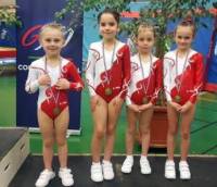 Gymnastique et aérobic : six podiums pour Yssingeaux par équipe