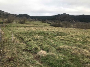 Queyrières : un lieu humide préservé à but écologique et pédagogique va être aménagé