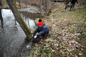 Yssingeaux : deux rivières fermées à la pêche en 2023, des truites rajoutées dans l&#039;Auze