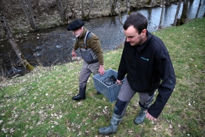 Yssingeaux : deux rivières fermées à la pêche en 2023, des truites rajoutées dans l&#039;Auze