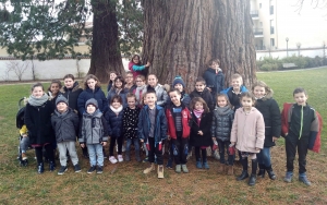 Bas-en-Basset : 88 doublettes pour le concours de coinche de l&#039;école privée