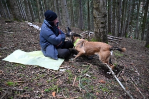 Une équipe de France de chien de sauvetage s&#039;entraîne à Yssingeaux (vidéo)