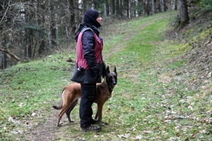 Une équipe de France de chien de sauvetage s&#039;entraîne à Yssingeaux (vidéo)