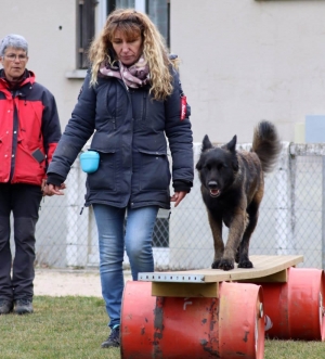 Une équipe de France de chien de sauvetage s&#039;entraîne à Yssingeaux (vidéo)