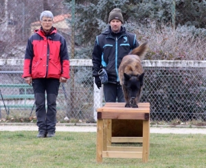 Une équipe de France de chien de sauvetage s&#039;entraîne à Yssingeaux (vidéo)