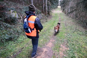 Une équipe de France de chien de sauvetage s&#039;entraîne à Yssingeaux (vidéo)