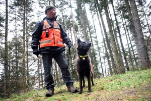 Une équipe de France de chien de sauvetage s&#039;entraîne à Yssingeaux (vidéo)