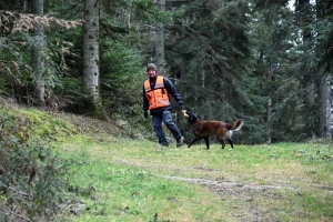 Une équipe de France de chien de sauvetage s&#039;entraîne à Yssingeaux (vidéo)