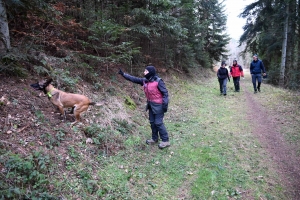 Une équipe de France de chien de sauvetage s&#039;entraîne à Yssingeaux (vidéo)