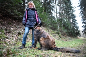 Une équipe de France de chien de sauvetage s&#039;entraîne à Yssingeaux (vidéo)