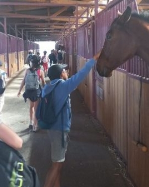 Yssingeaux : les écoliers de Jean-de-la-Fontaine en immersion au lycée agricole