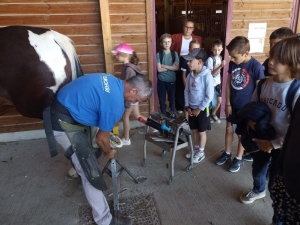 Yssingeaux : les écoliers de Jean-de-la-Fontaine en immersion au lycée agricole