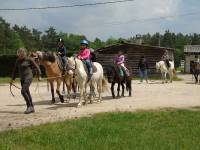 Grazac : les écoliers se sont familiarisés avec les poneys