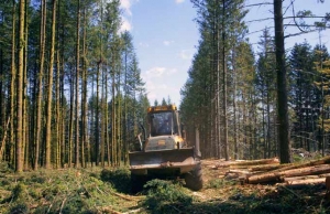 &quot;Le Temps des forêts&quot;, un film avec débat au cinéma de Sainte-Sigolène