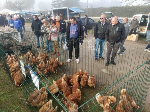 Bas-en-Basset est un rendez-vous obligé le 11 novembre