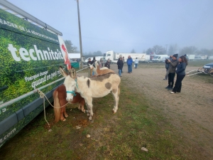 Bas-en-Basset est un rendez-vous obligé le 11 novembre