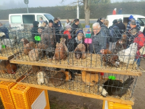 Bas-en-Basset est un rendez-vous obligé le 11 novembre