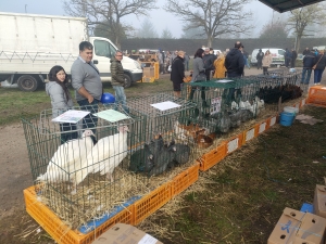 Bas-en-Basset est un rendez-vous obligé le 11 novembre