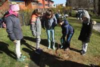 Monistrol-sur-Loire : les écoliers créent un arboretum le long du Piat