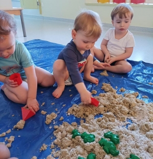 Saint-Maurice-de-Lignon : les Petits Loups font leur carnaval