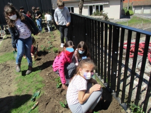 Dunières : un potager créé à l&#039;école Jacques-Prévert