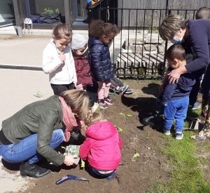 Dunières : un potager créé à l&#039;école Jacques-Prévert