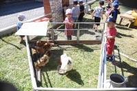 Bas-en-Basset : une ferme pédagogique en animation à la crèche