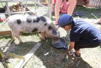 Bas-en-Basset : une ferme pédagogique en animation à la crèche